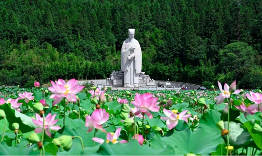 Lotus Season Brings New Vitality to Wufu Township